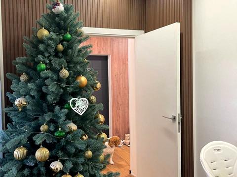 квартира по адресу Кадетский Гай ул., 12