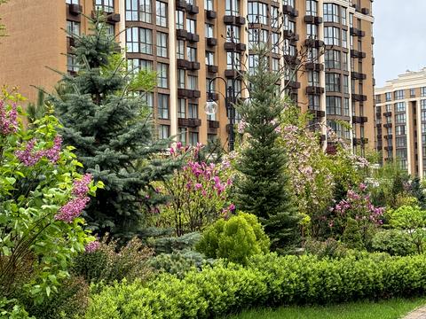 квартира за адресою Мартинова просп., 12