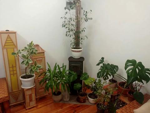 будинок за адресою Науки просп. (Леніна), 65