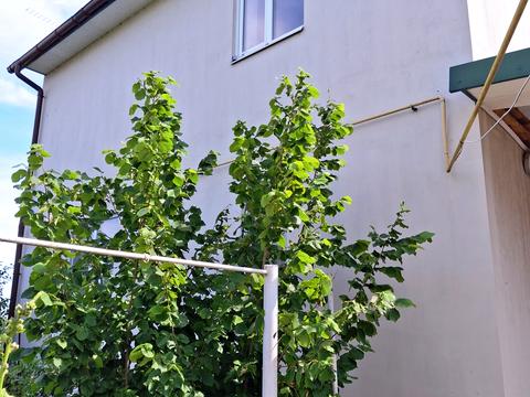 будинок за адресою Рибальська