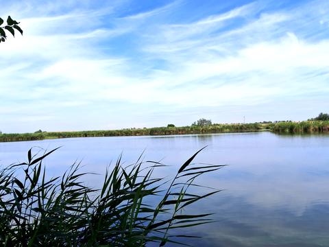 будинок за адресою Рибальська