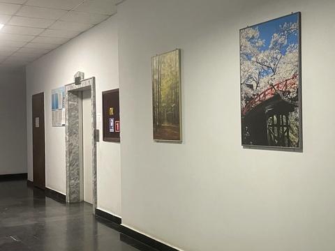 квартира за адресою Французький бульв., 49А