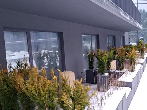 квартира за адресою урочище Вишні вул., 121-А