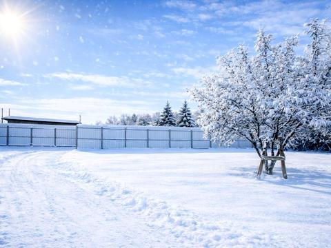 будинок за адресою Федора Кричевського, 20