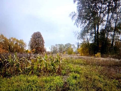 участок по адресу щорса