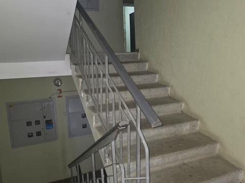 квартира по адресу Михаила Лушпы просп., 5 к22