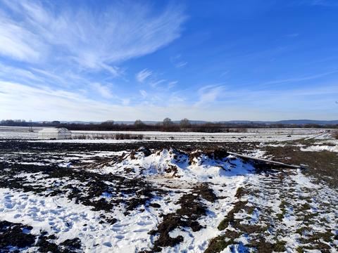 ділянка за адресою с. Чишки, Шевченка