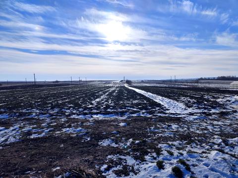 ділянка за адресою с. Чишки, Шевченка