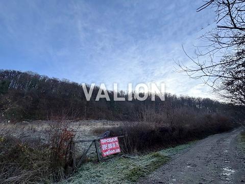 ділянка за адресою с. Бистриця, Виноградна