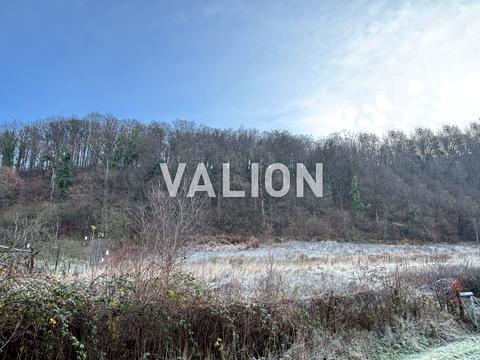 ділянка за адресою с. Бистриця, Виноградна