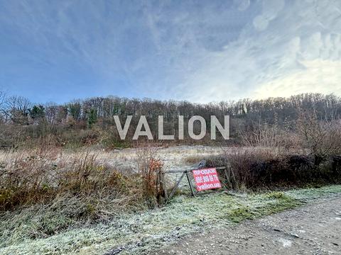 ділянка за адресою с. Бистриця, Виноградна