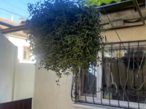 будинок за адресою Лубенська вул. (Губанова)