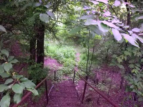 будинок за адресою піщана, 28а