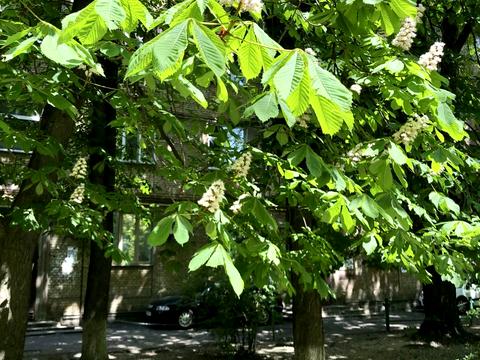 квартира за адресою Берестейський просп. (Перемоги), 71/2