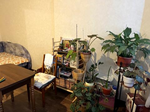 квартира за адресою Пономарьова вул., 26 к2