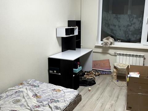 квартира за адресою Академіка Глушкова просп., 55