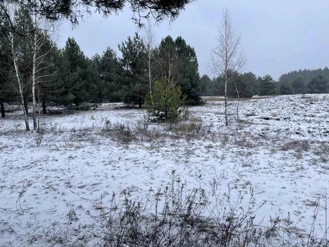 комерційна за адресою Райдужна, 33