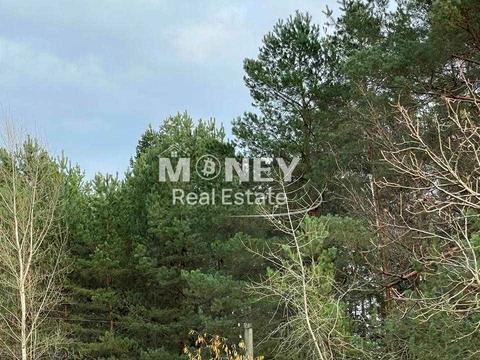 дом по адресу Вишгород