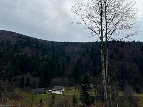 дом по адресу Грушевского ул.