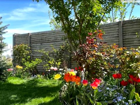 будинок за адресою лебедина