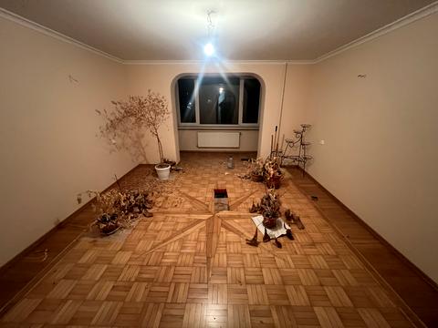 квартира по адресу Генерала Петрова ул., 22б