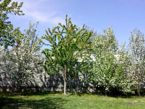 будинок за адресою садова