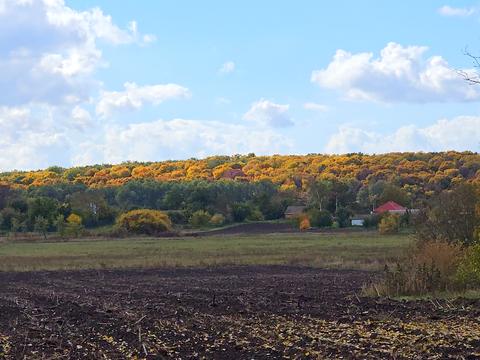 дом по адресу Червоноармійська
