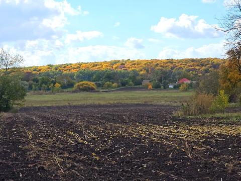 дом по адресу Червоноармійська