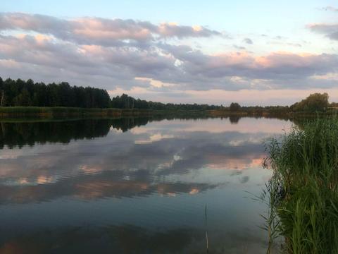 будинок за адресою лугова