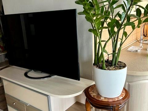 квартира за адресою Полігонна вул. (Погребняка), 23