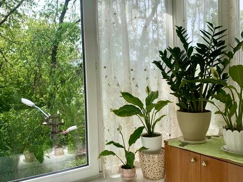 квартира за адресою Полігонна вул. (Погребняка), 23