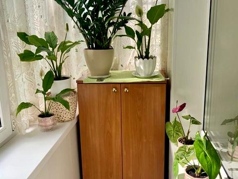 квартира за адресою Полігонна вул. (Погребняка), 23