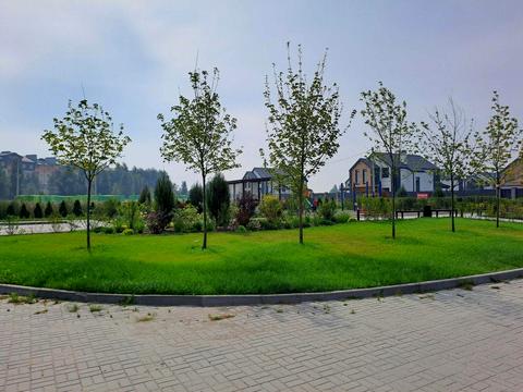 дом по адресу ягідна