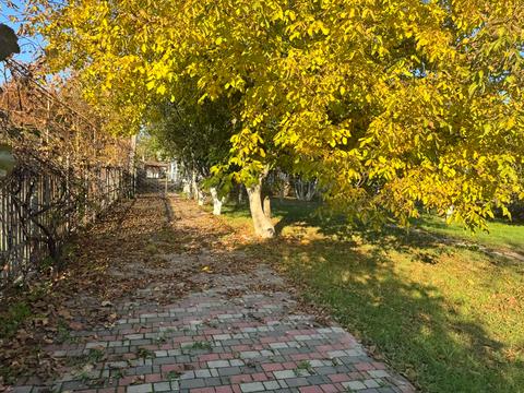 дом по адресу Польова