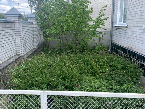 будинок за адресою віта паркова