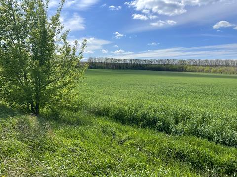 ділянка за адресою 