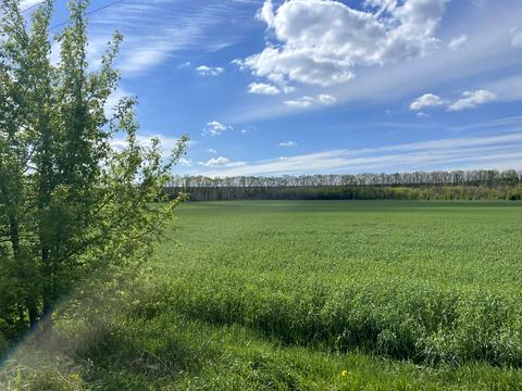 ділянка за адресою 