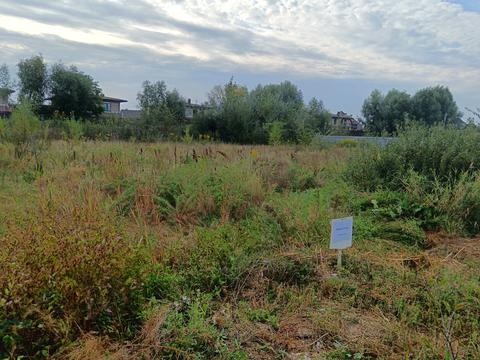 участок по адресу Святищенская ул.