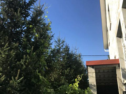 будинок за адресою Шкільна вул., 1