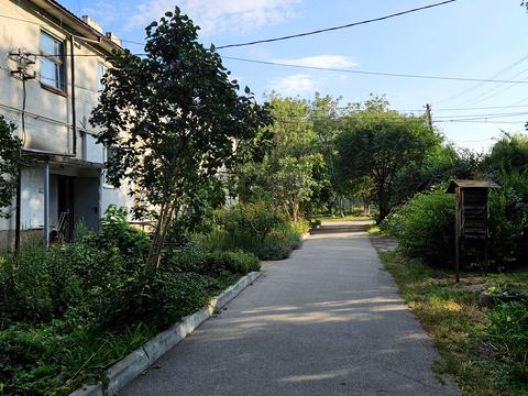 квартира по адресу Вишнёвый пер., 4