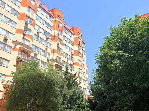 квартира по адресу Старицкого ул., 20/4