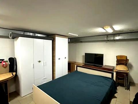 дом по адресу Трояндова