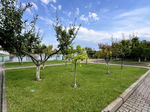 дом по адресу Київська ул.