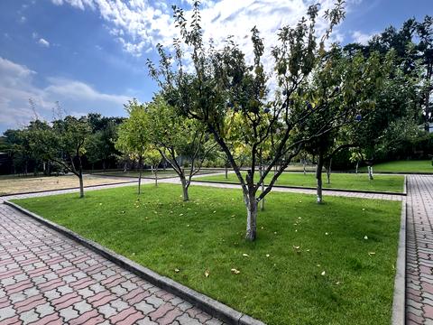 дом по адресу Київська ул.