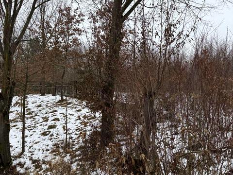 ділянка за адресою Шевченка