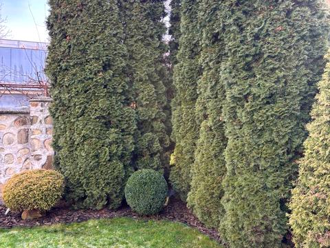 дом по адресу Михаила Павлика ул., 12