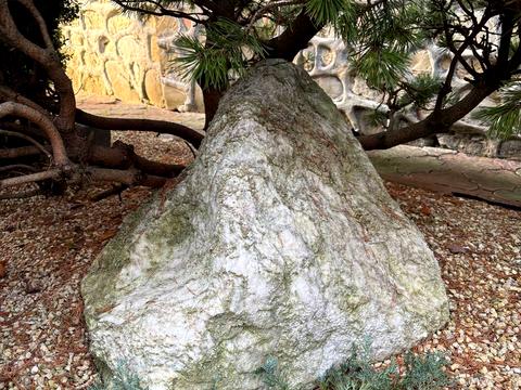 дом по адресу Михаила Павлика ул., 12