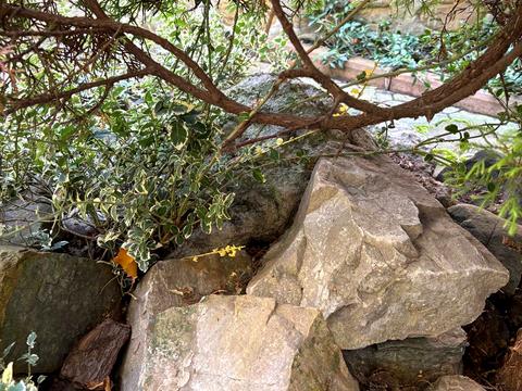 дом по адресу Михаила Павлика ул., 12