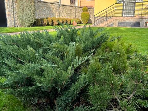 дом по адресу Михаила Павлика ул., 12