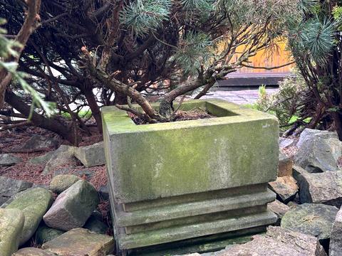 дом по адресу Михаила Павлика ул., 12